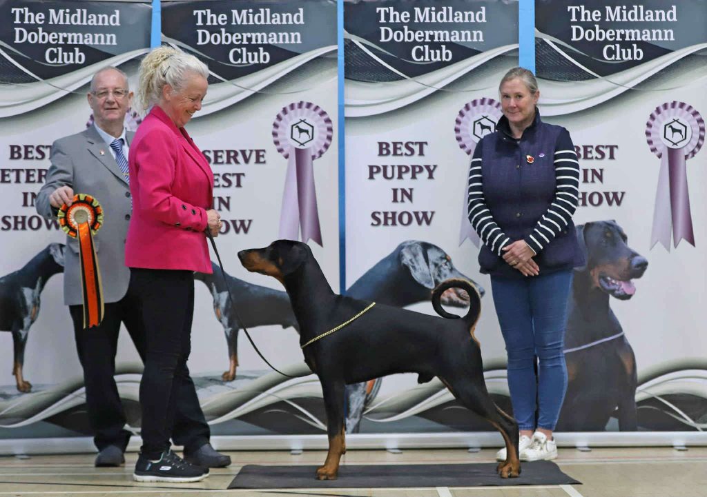 577658040_1335361937691735_1139801926478042740_n