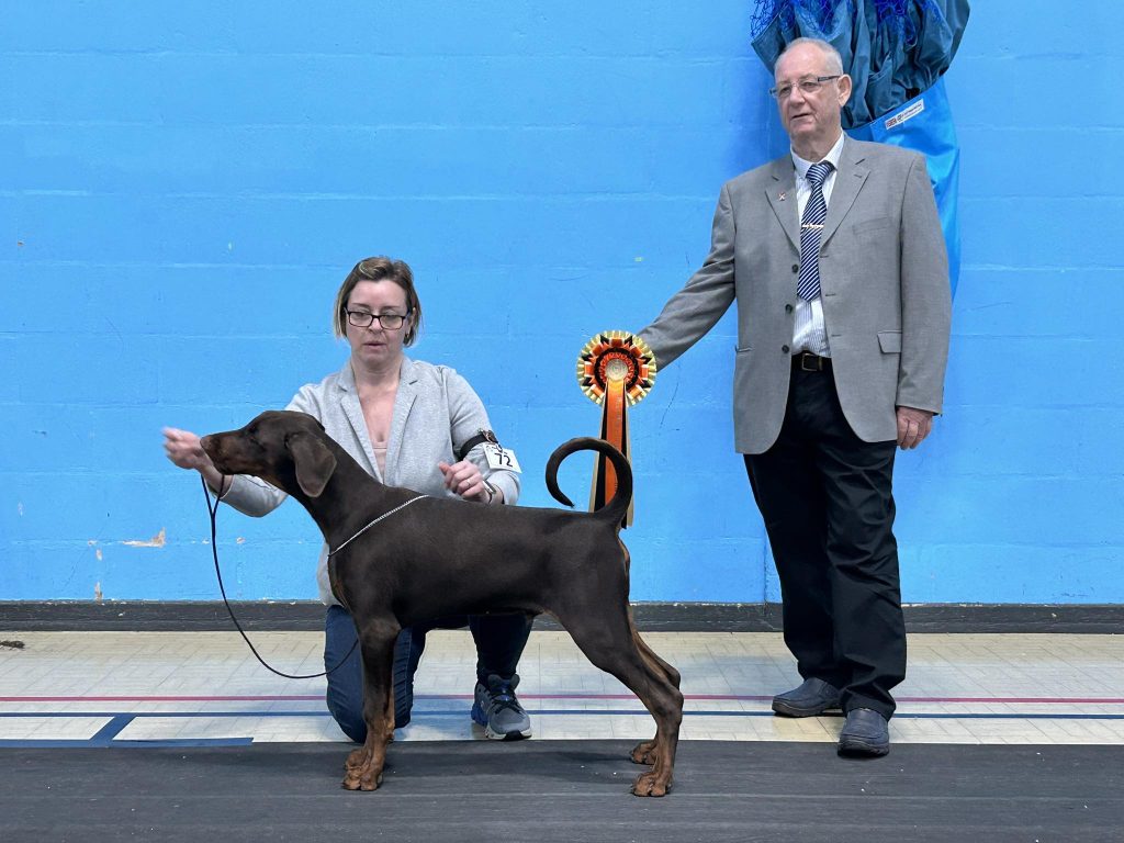 581137636_2520544081662645_562316003727890616_n