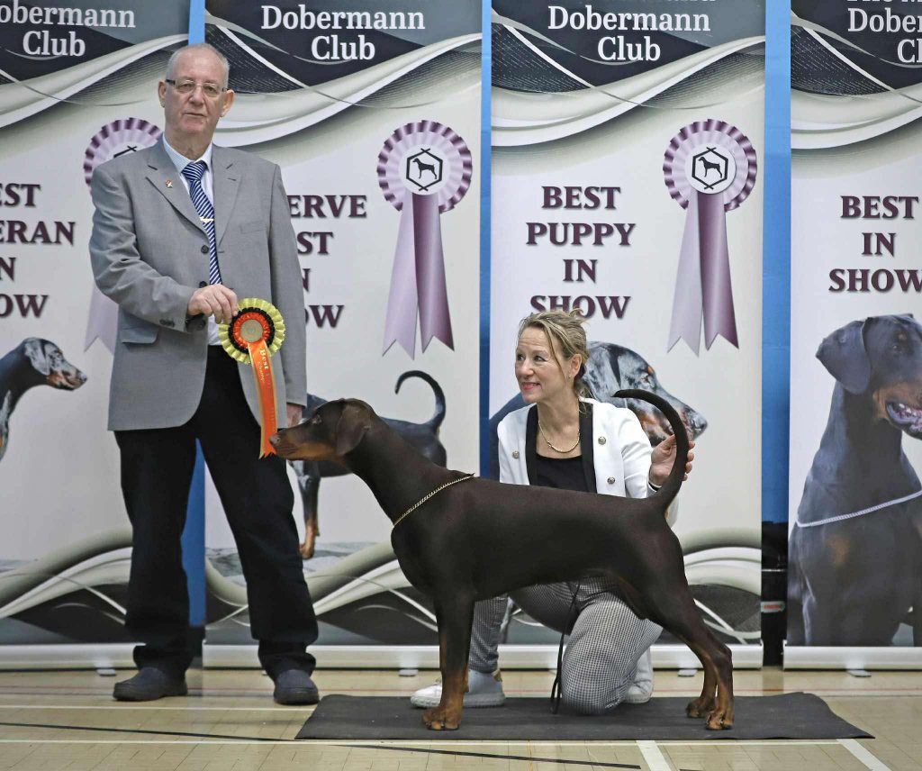 581838105_837184358831859_63197070963496440_n