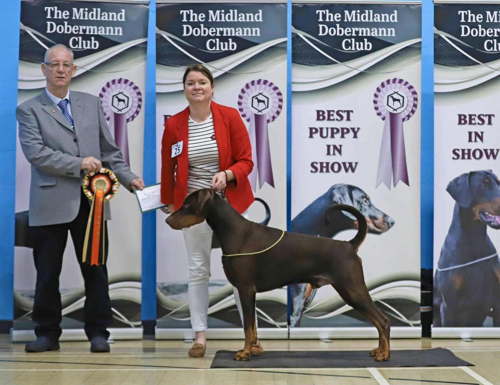 582004526_1040723578179317_3457978024008742335_n